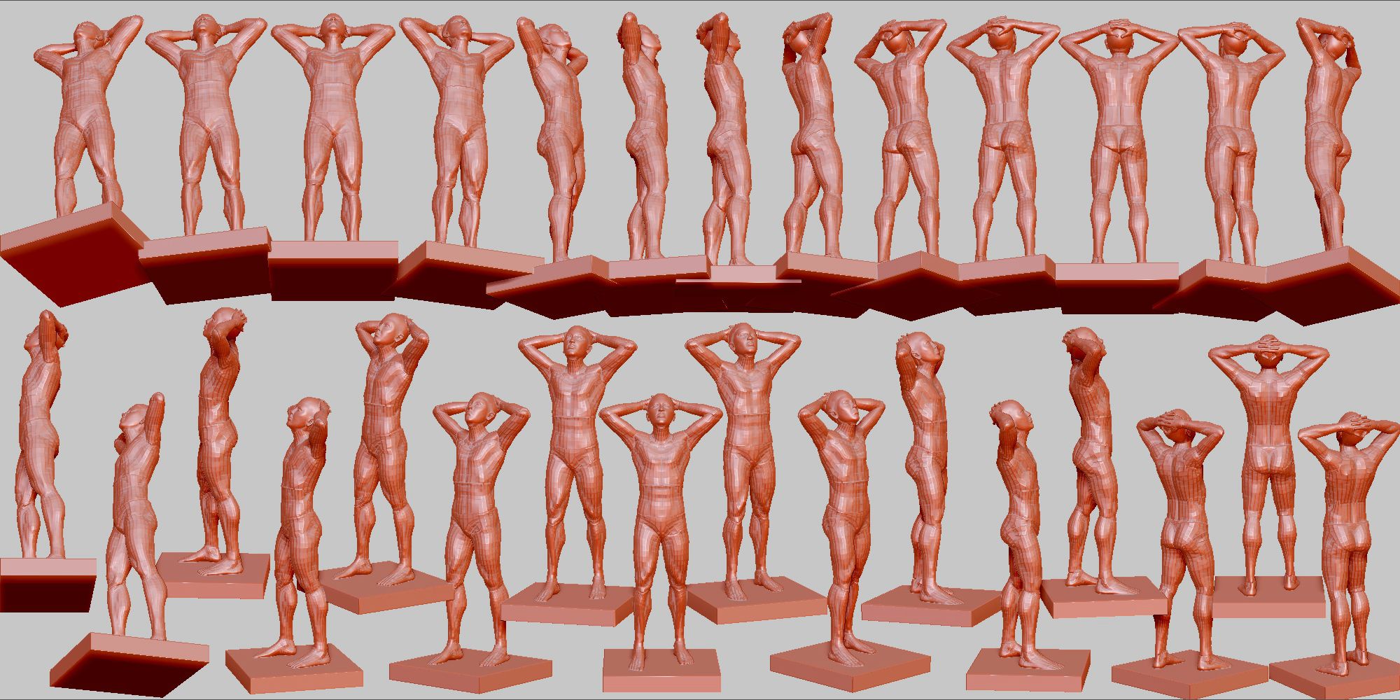 オレンジの木を鉢で育てる方法