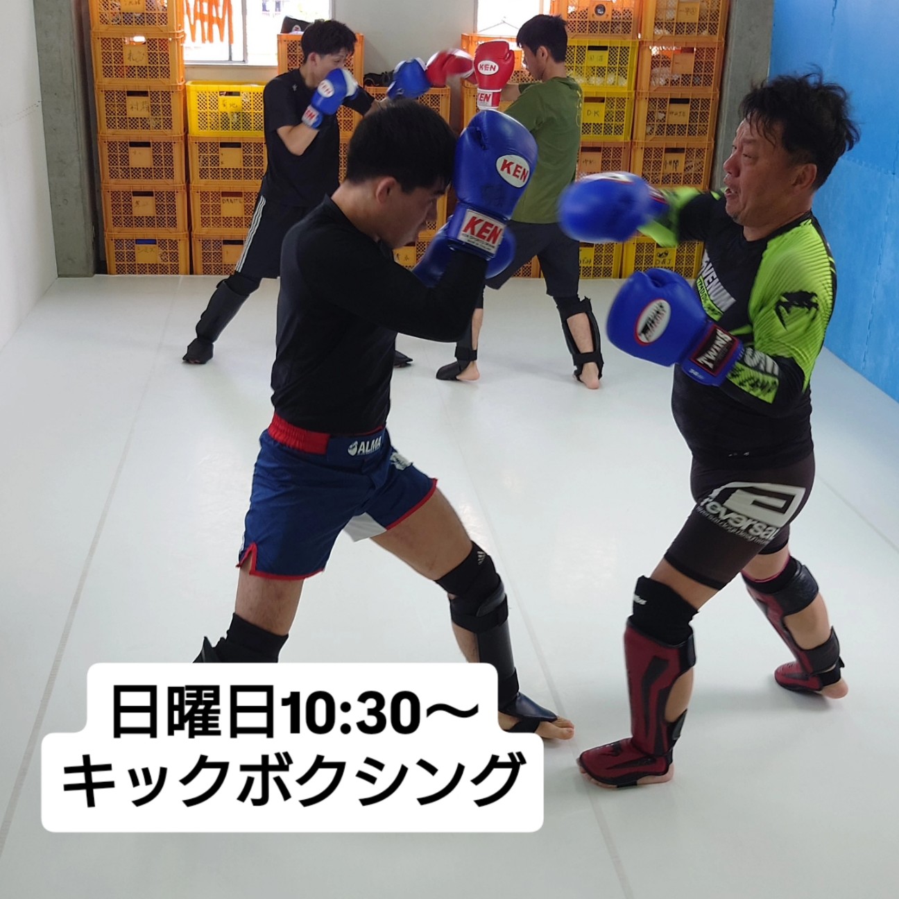 f:id:ootadojo:20260617202033j:image f:id:ootadojo:20260617202033j:image