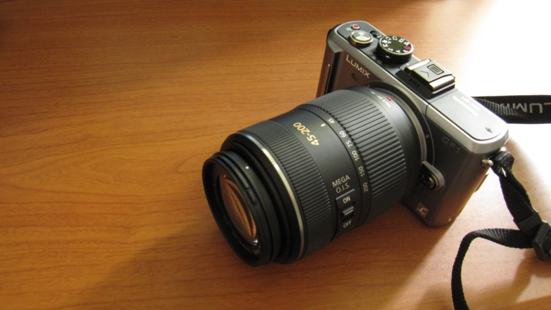 LUMIX G VARIO 45-200mm 作例 - おーたんの日記