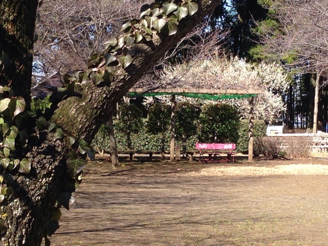 f:id:ootmarsum:20150310174743j:plain f:id:ootmarsum:20150310174743j:plain