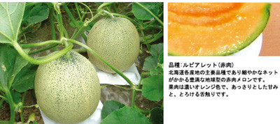 f:id:ootomi:20080719102455j:image