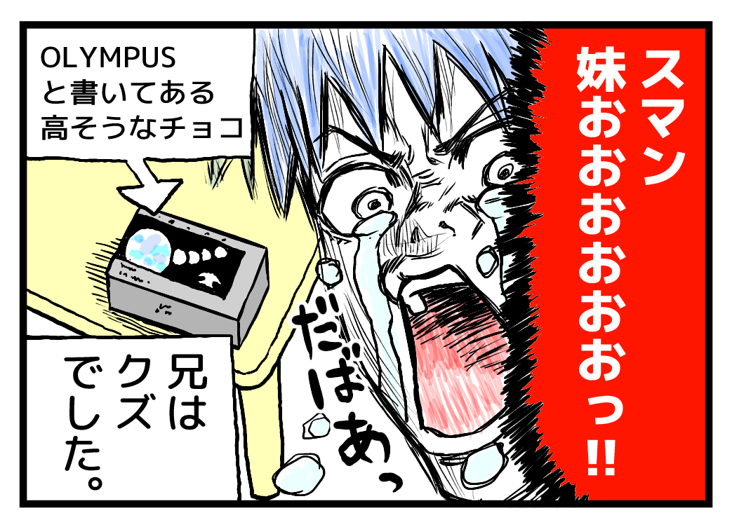 f:id:ootsususunu:20191230233848p:plain:w457 f:id:ootsususunu:20191230233848p:plain:w457