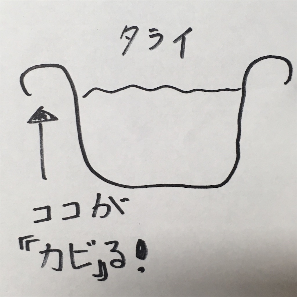 洗い桶のふち