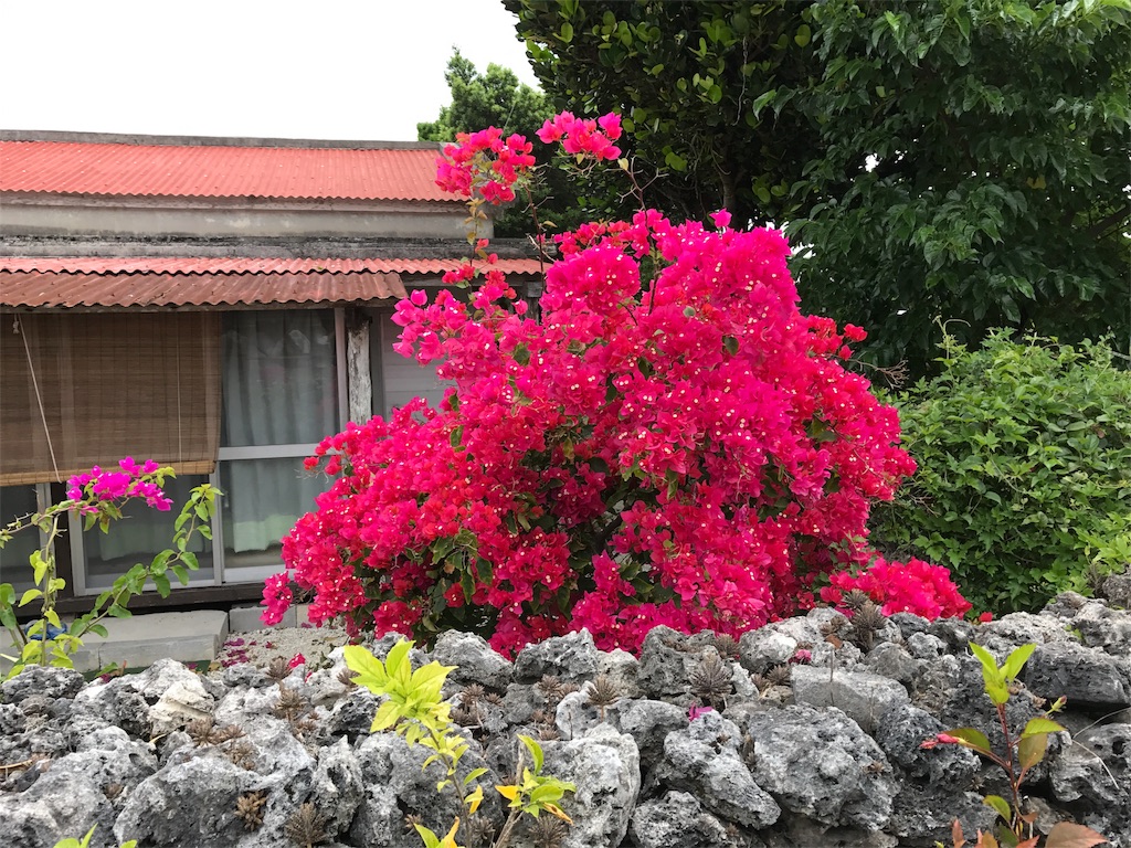 f:id:ooxoo:20170424143654j:image