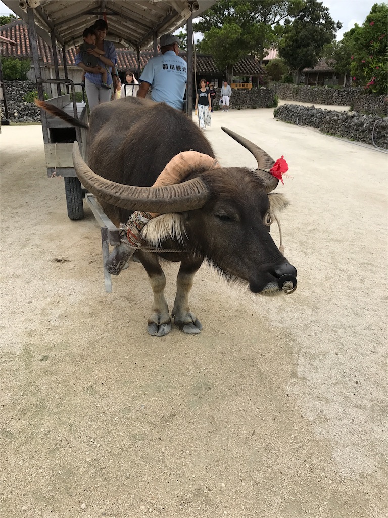 f:id:ooxoo:20170424143718j:image