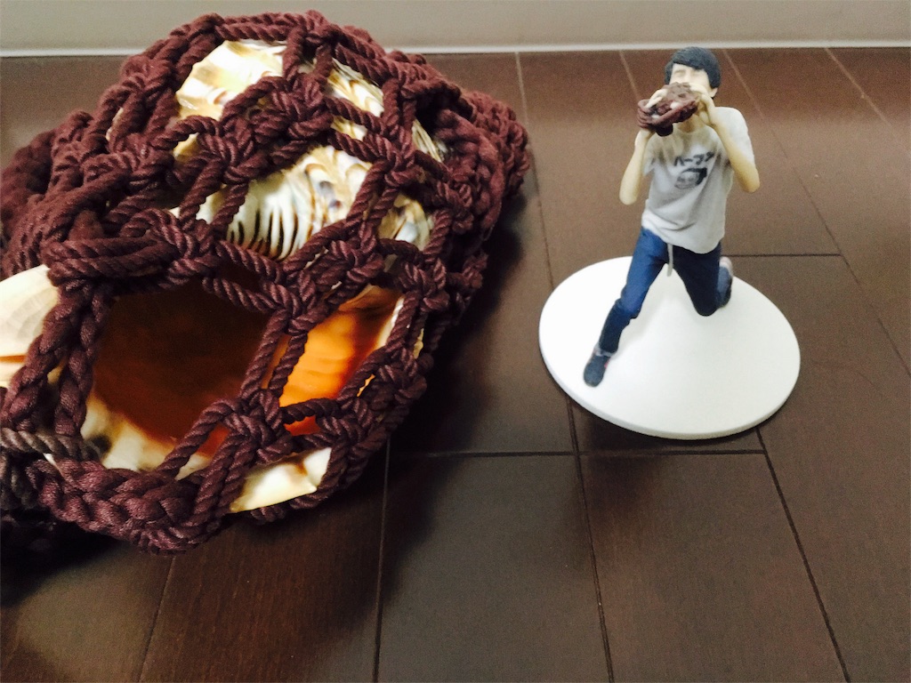 f:id:ooyamadesuyo:20161123024823j:image f:id:ooyamadesuyo:20161123024823j:image