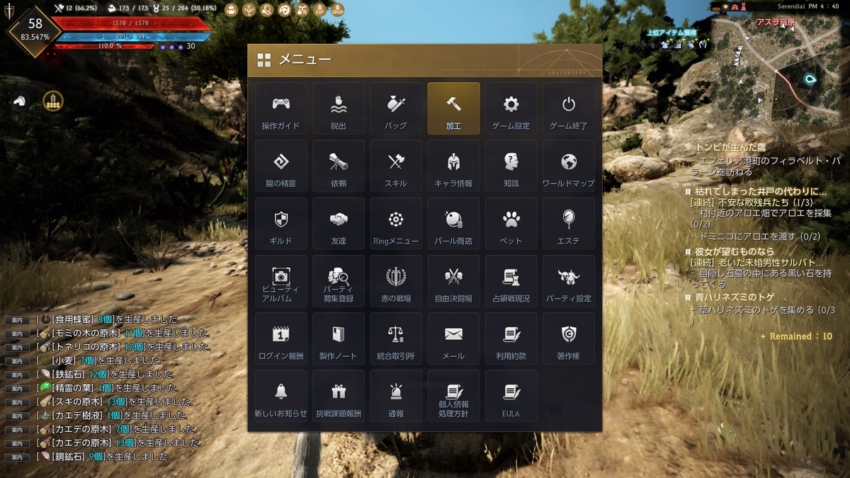 オプションメニュー一覧 Brack Desert 黒い砂漠console 生活コンテンツまとめ