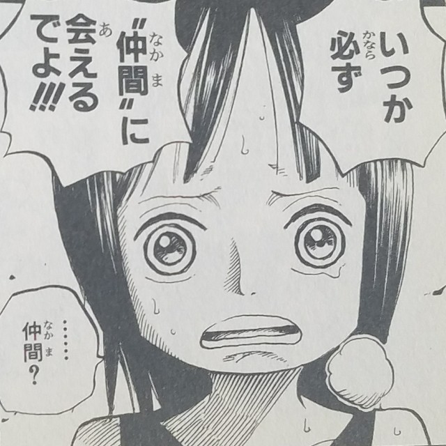 ワンピースブログ 四十一巻 第397話 未来へ届くように 漫画ワンピースの感想を1話ずつ綴っていくブログ