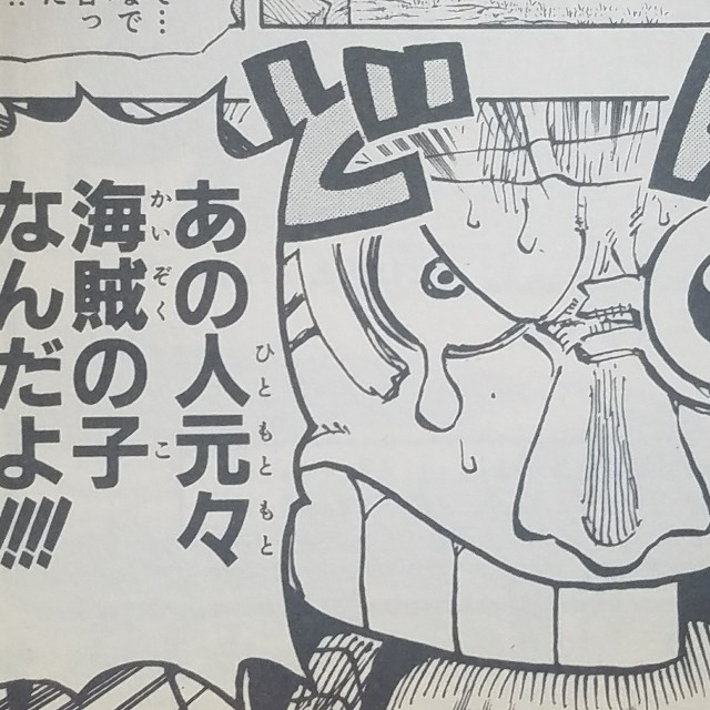 ワンピースブログ 四十五巻 第435話 心中お察しする 漫画ワンピースの感想を1話ずつ綴っていくブログ