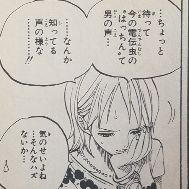 ワンピースブログ 五十巻 第491話 トビウオライダーズ 漫画ワンピースの感想を1話ずつ綴っていくブログ