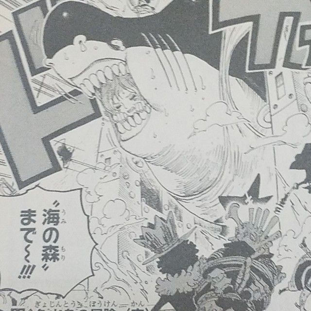 One Piece ブログ 六十二巻 第614話 やっちまったモンはしょうがねェ 漫画ワンピース趣味ブログ