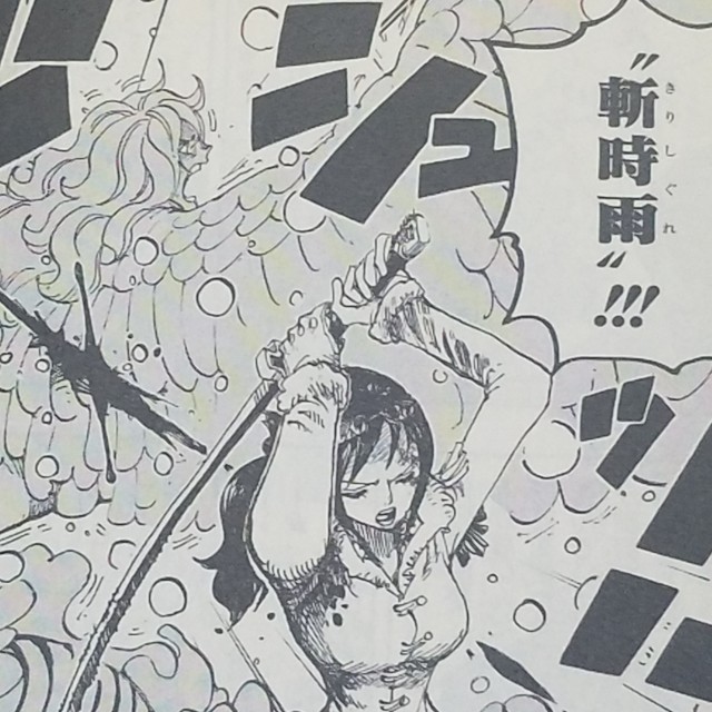 One Piece ブログ 六十九巻 第687話 猛獣 漫画ワンピースの感想を1話ずつ綴っていくブログ