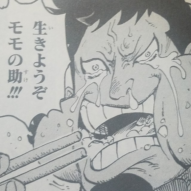 One Piece ブログ 七十巻 第696話 利害の一致 漫画ワンピースの感想を1話ずつ綴っていくブログ One Piece ブログ 七十巻 第696話 利害の一致 漫画ワンピースの感想を1話ずつ綴っていくブログ