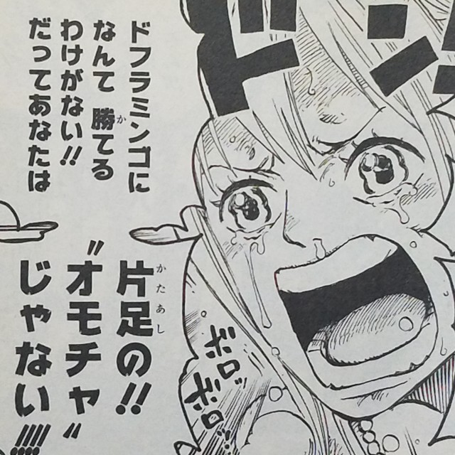 One Piece ブログ 七十四巻 第739話 隊長 感想 漫画ワンピース趣味ブログ