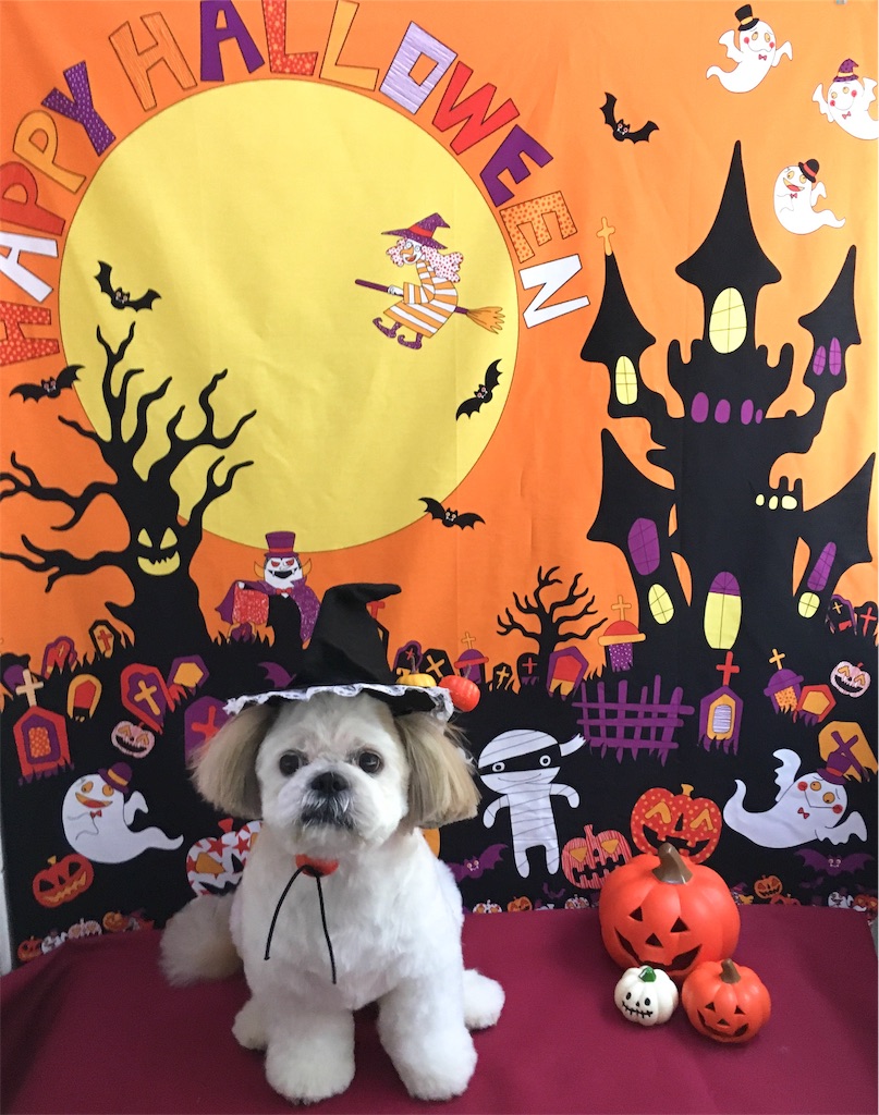 f:id:opachosalon:20191007230314j:image f:id:opachosalon:20191007230314j:image