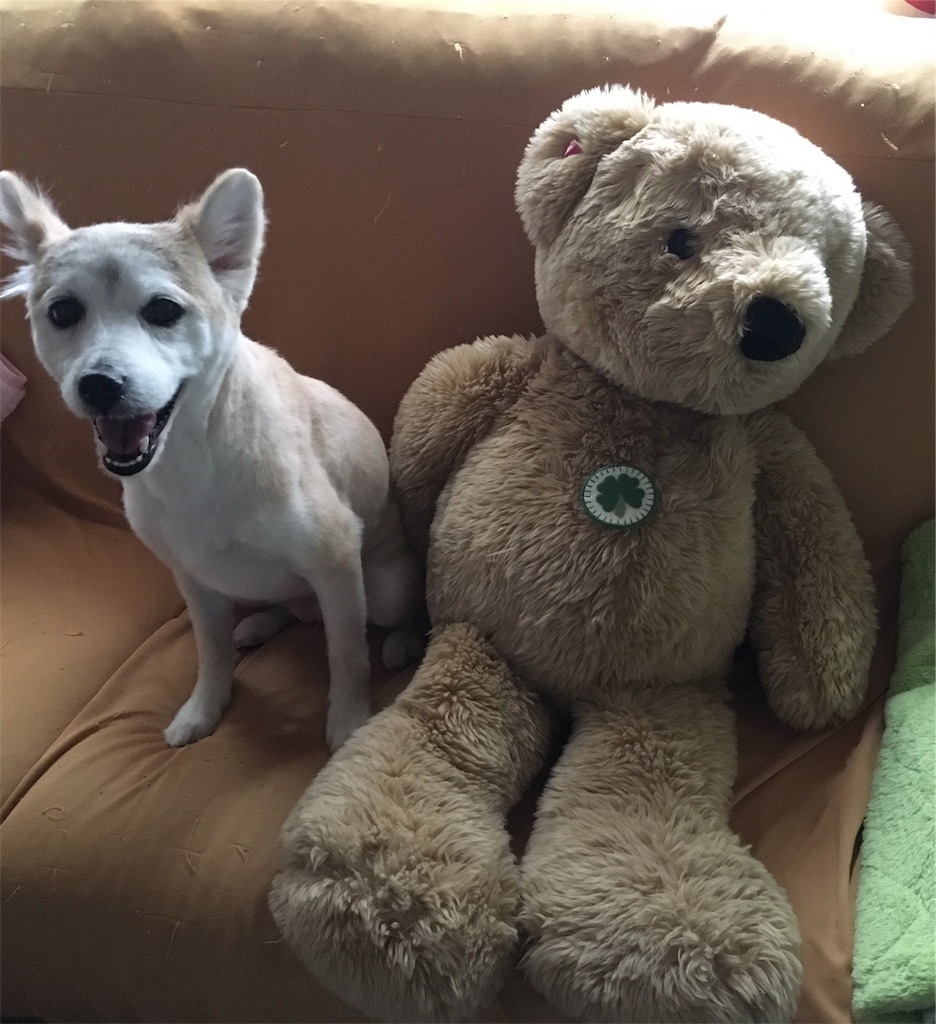 f:id:opachosalon:20191007232544j:image f:id:opachosalon:20191007232544j:image