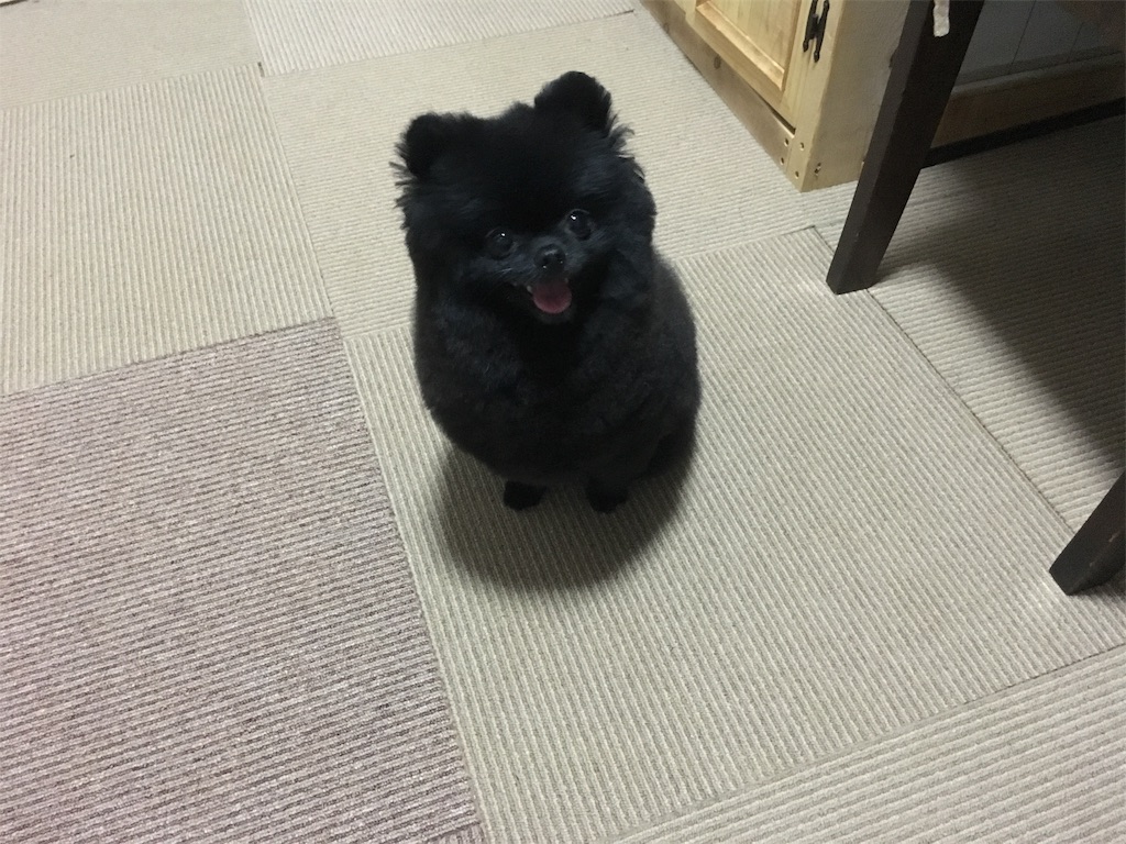 f:id:opachosalon:20191014133835j:image f:id:opachosalon:20191014133835j:image