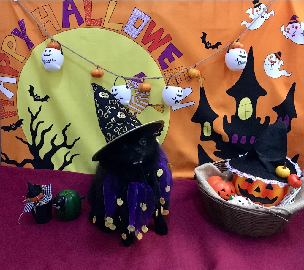 f:id:opachosalon:20191014133851j:image f:id:opachosalon:20191014133851j:image