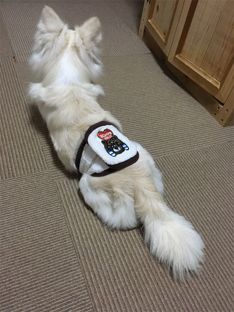 f:id:opachosalon:20191129205956j:image