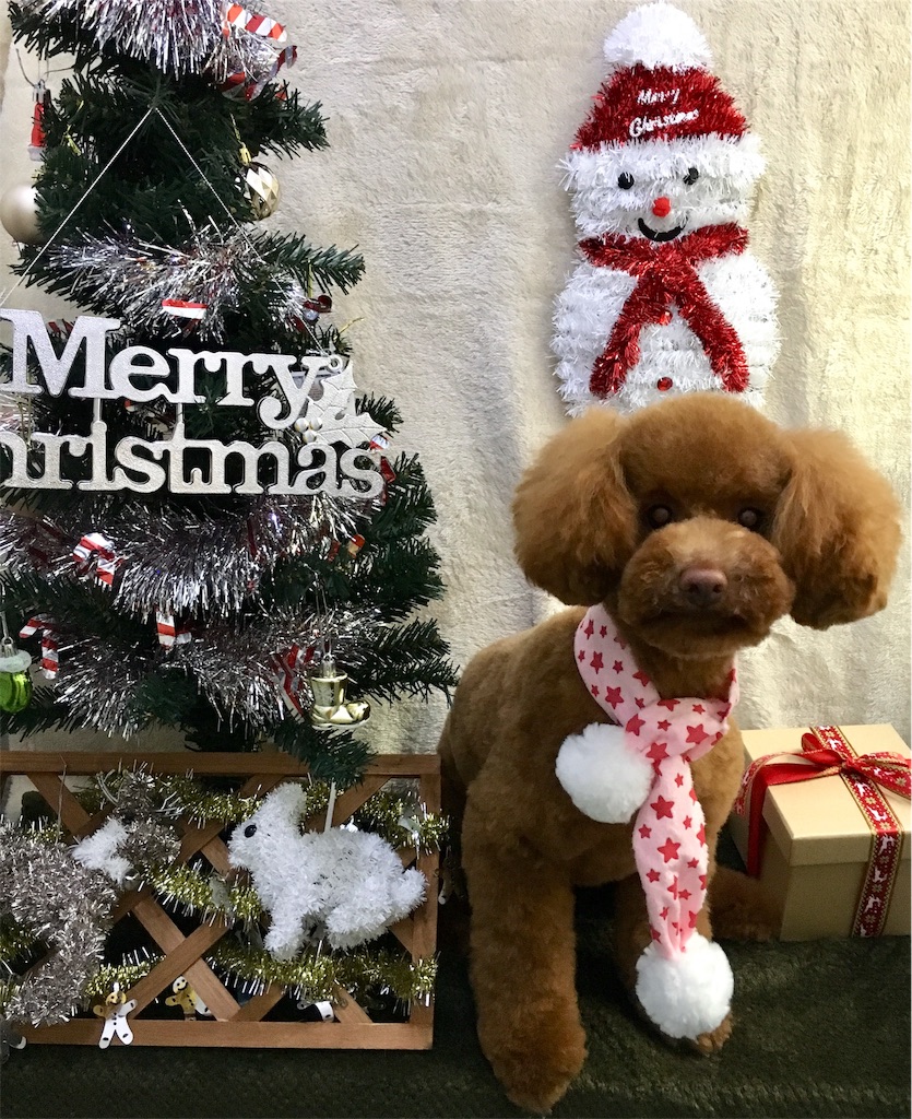 f:id:opachosalon:20191213204210j:image