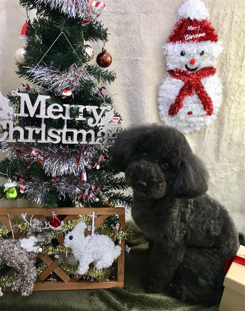 f:id:opachosalon:20191214144614j:image f:id:opachosalon:20191214144614j:image