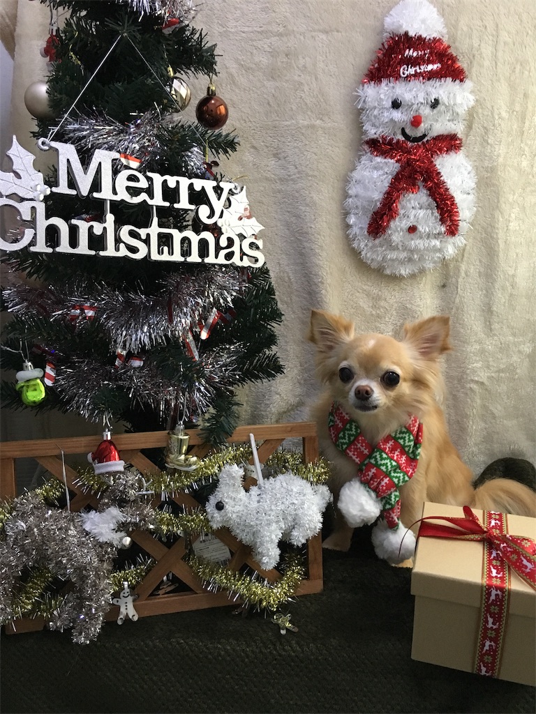 f:id:opachosalon:20191214144620j:image f:id:opachosalon:20191214144620j:image