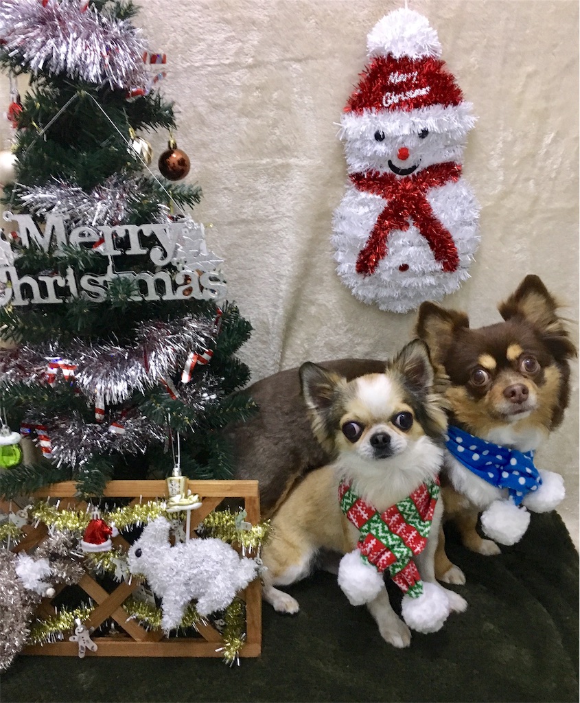 f:id:opachosalon:20191214144624j:image f:id:opachosalon:20191214144624j:image