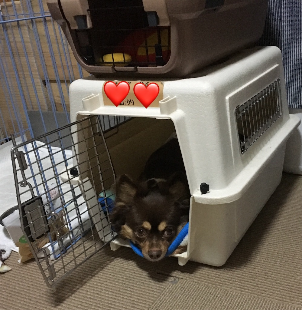 f:id:opachosalon:20191214144643j:image f:id:opachosalon:20191214144643j:image