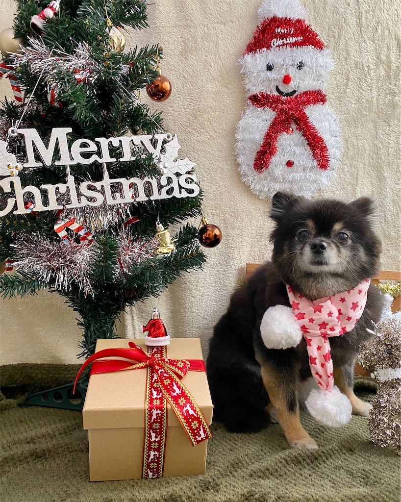 f:id:opachosalon:20191231192402j:image f:id:opachosalon:20191231192402j:image