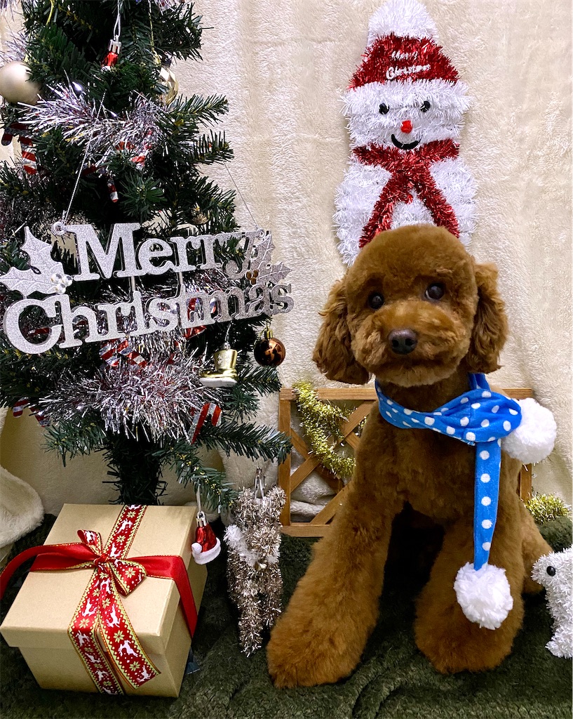 f:id:opachosalon:20191231234531j:image f:id:opachosalon:20191231234531j:image