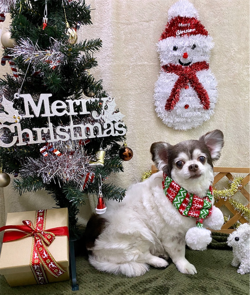 f:id:opachosalon:20191231234537j:image f:id:opachosalon:20191231234537j:image