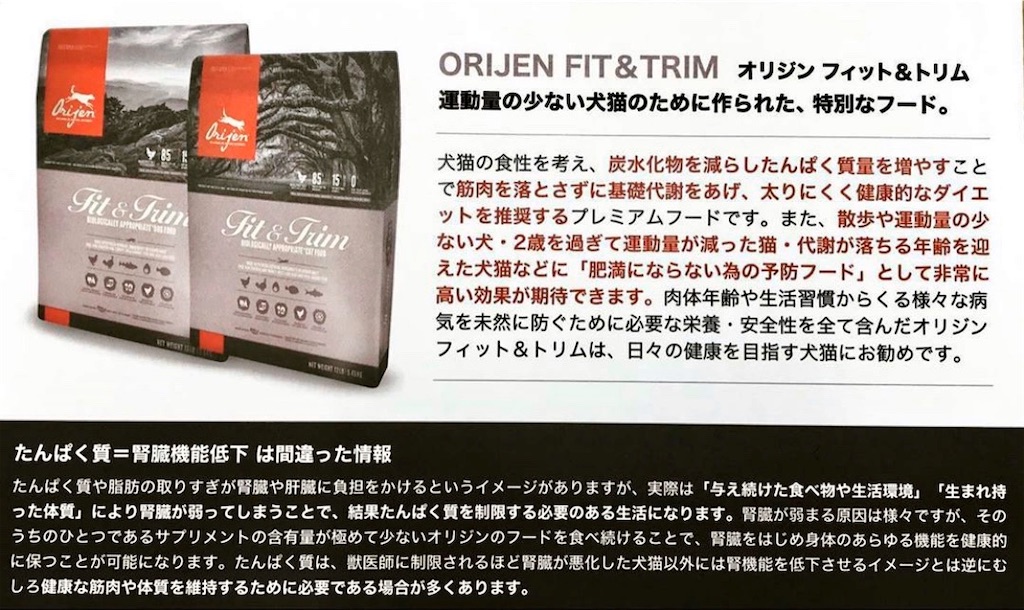f:id:opachosalon:20200715182514j:image f:id:opachosalon:20200715182514j:image