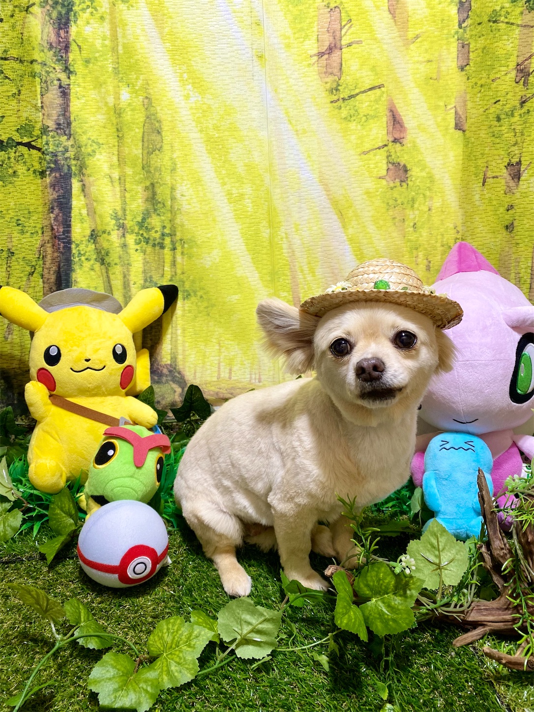 f:id:opachosalon:20210803022744j:image