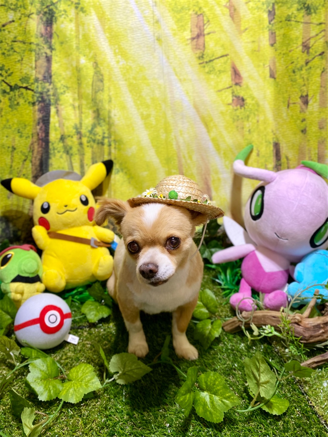 f:id:opachosalon:20210803022748j:image