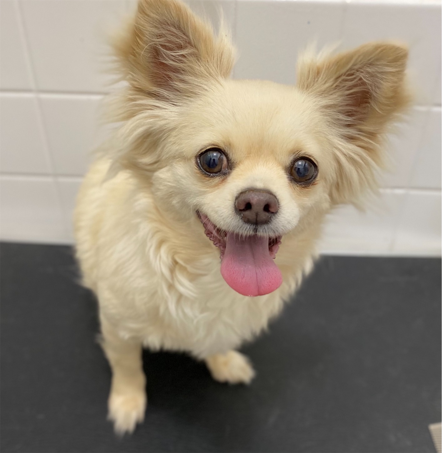 f:id:opachosalon:20210803022755j:image