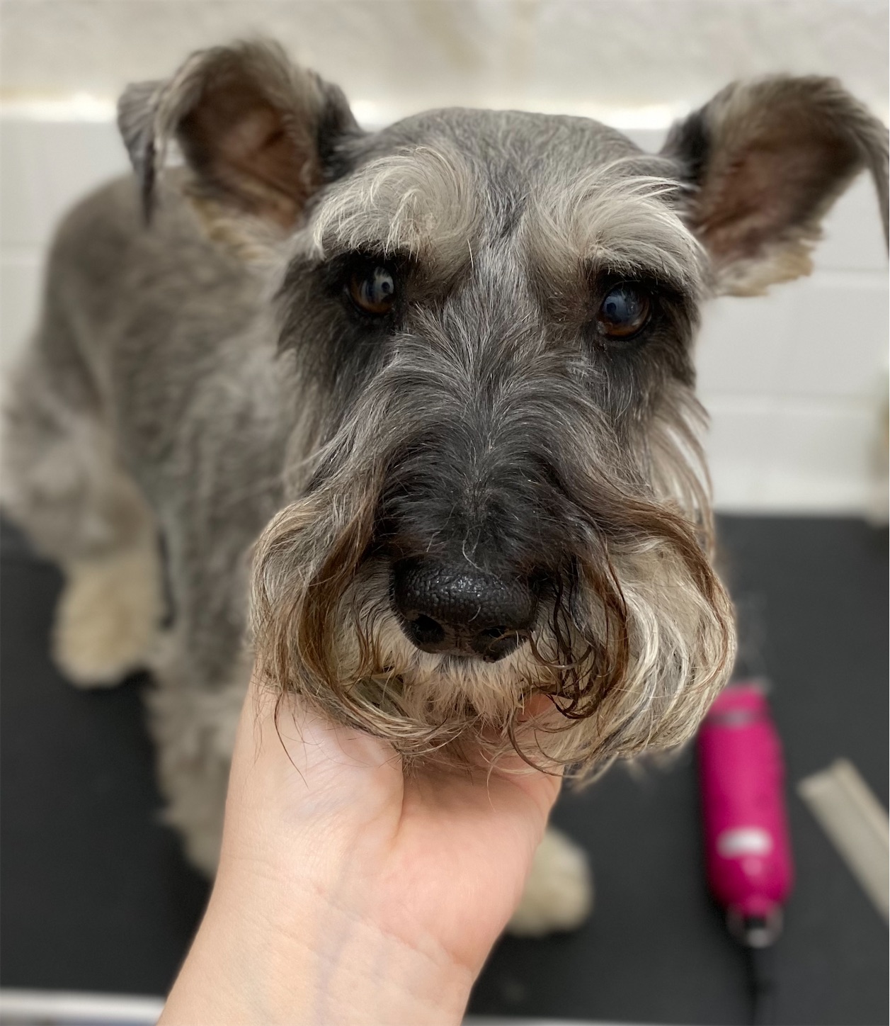 f:id:opachosalon:20210803022824j:image