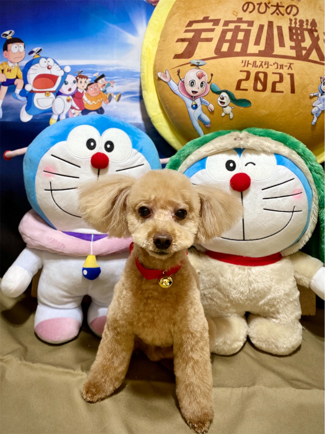 f:id:opachosalon:20211229123125j:image