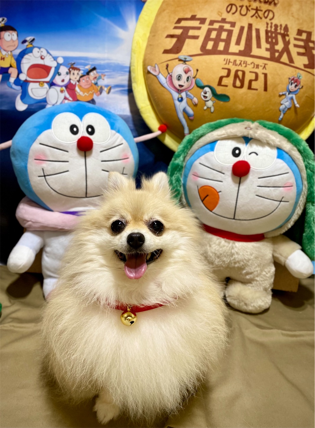 f:id:opachosalon:20211229123140j:image