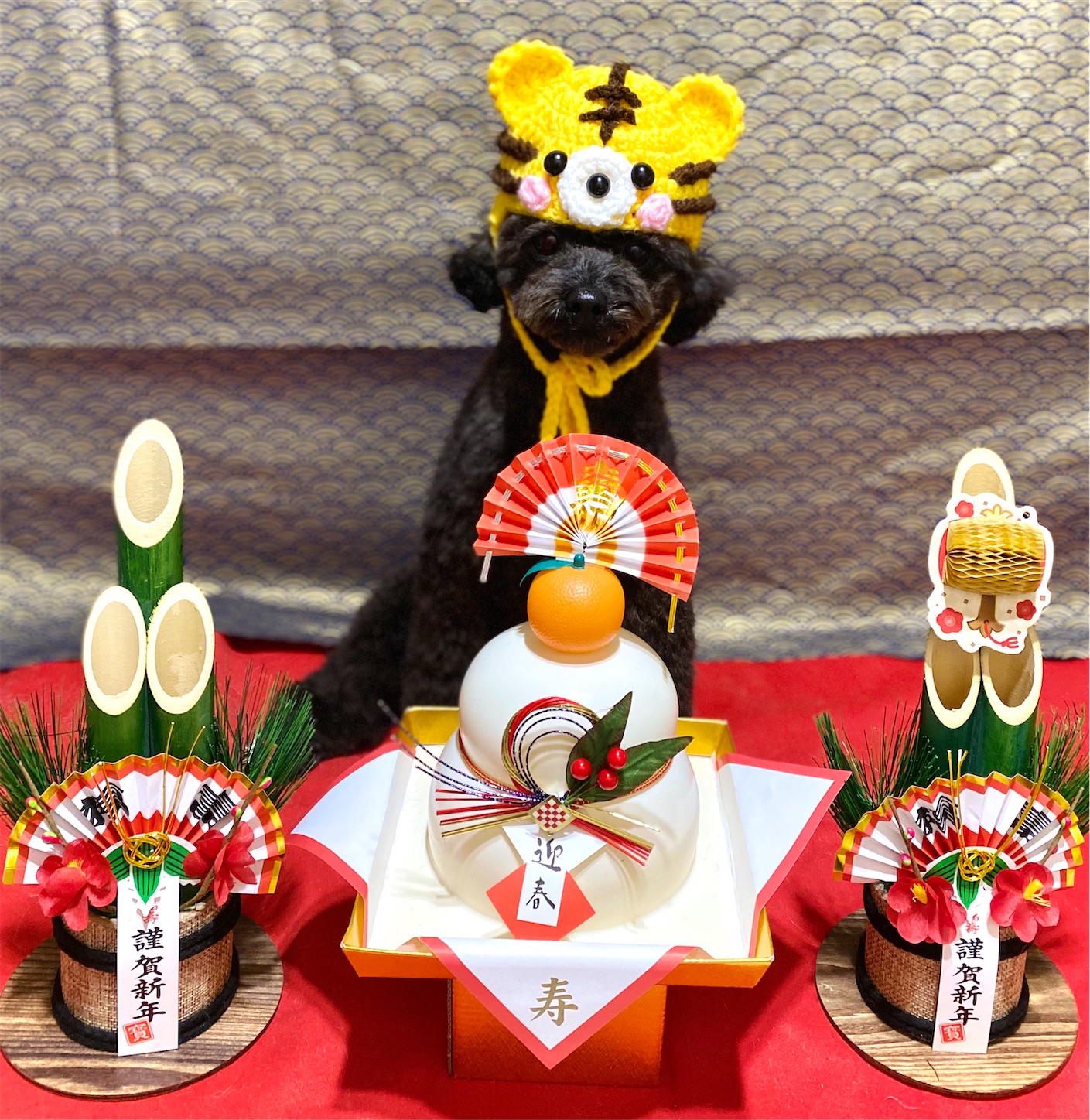 f:id:opachosalon:20220320115509j:image