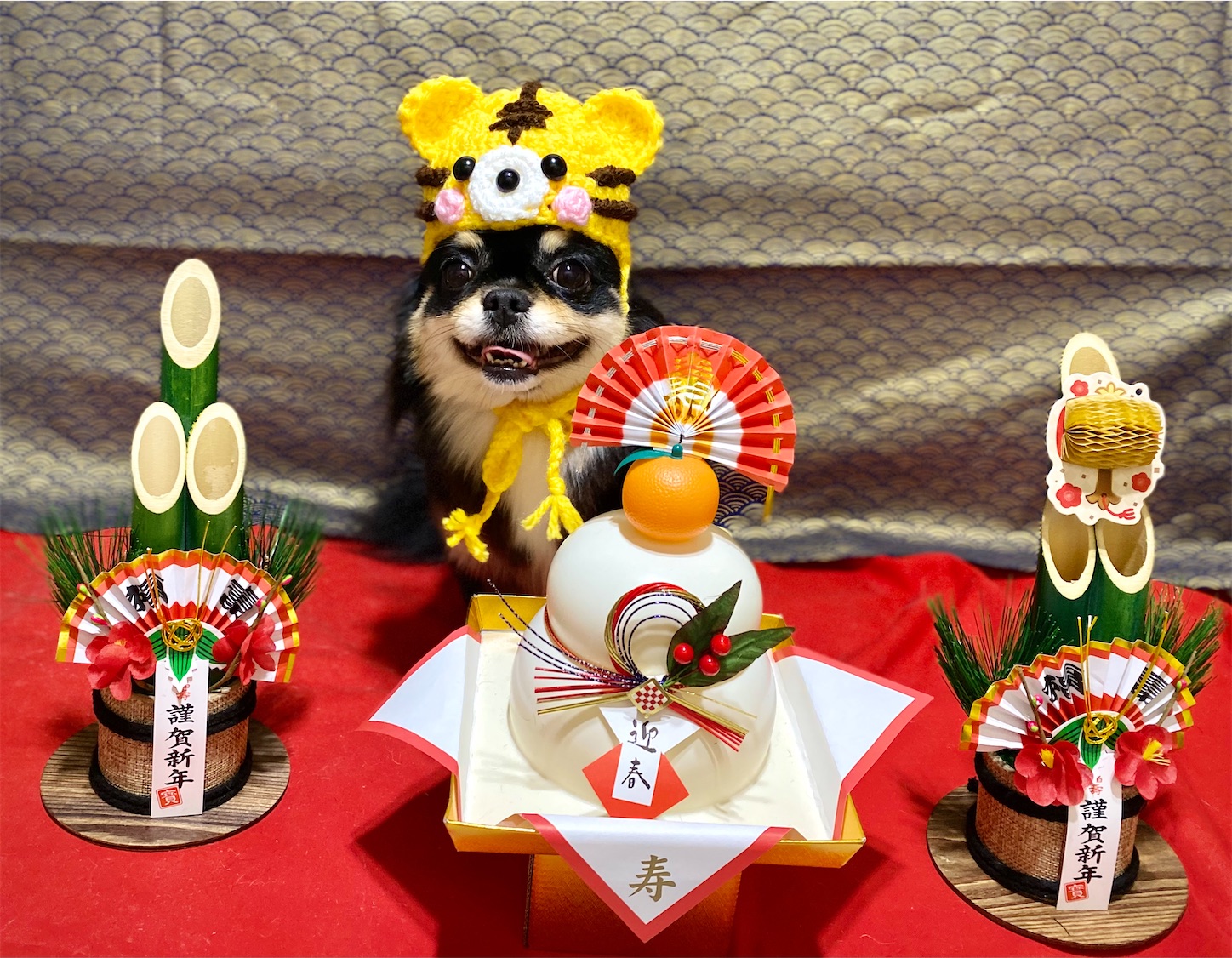 f:id:opachosalon:20220320115518j:image