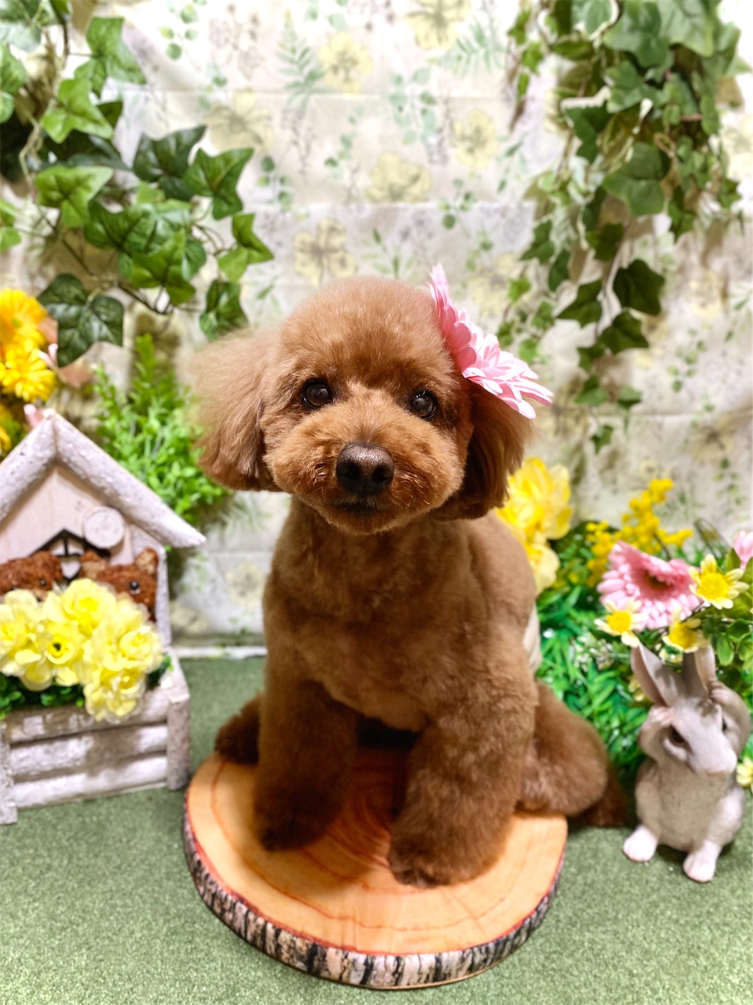 f:id:opachosalon:20220621165704j:image