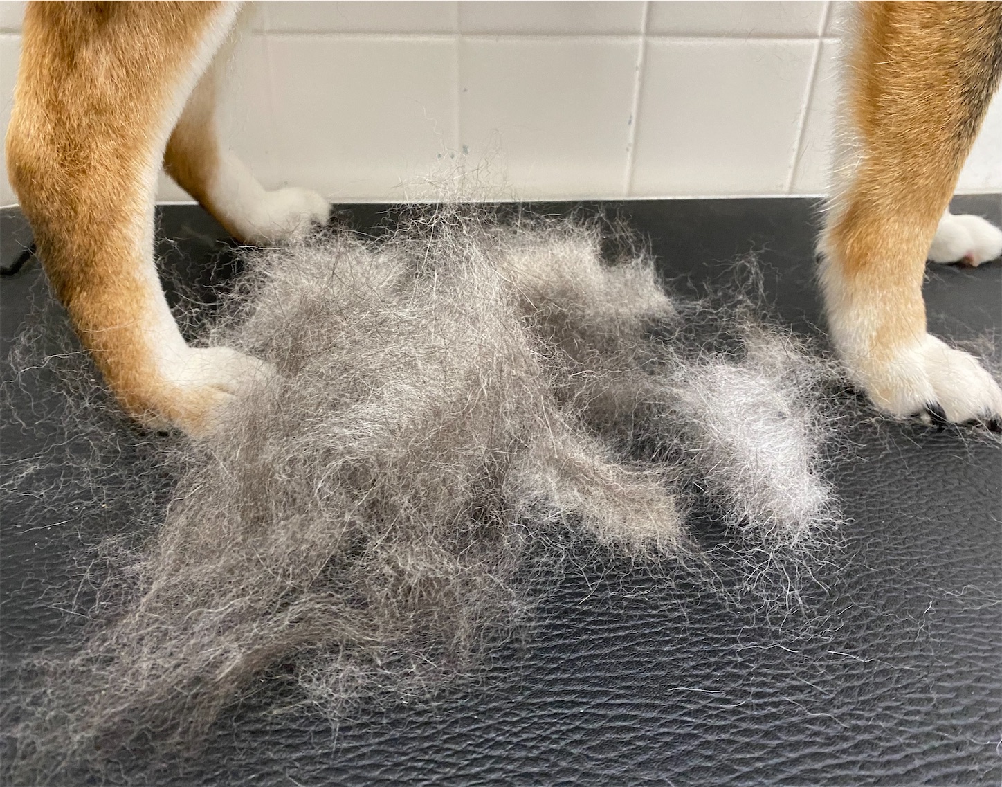 f:id:opachosalon:20220621165708j:image