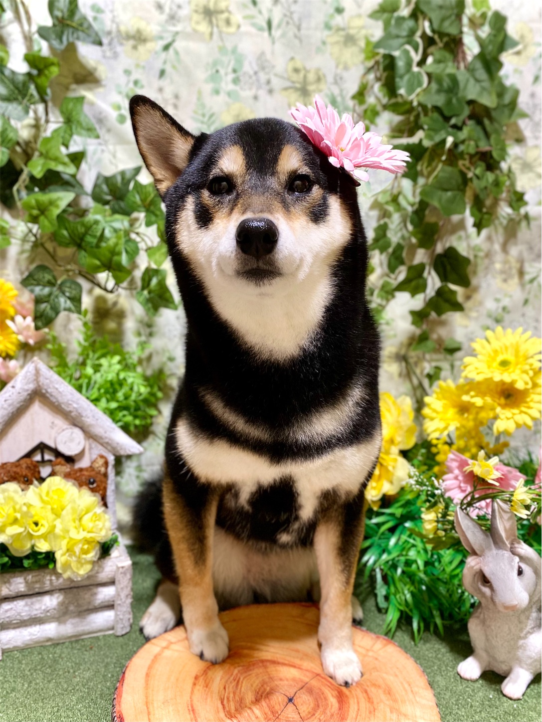 f:id:opachosalon:20220621165719j:image