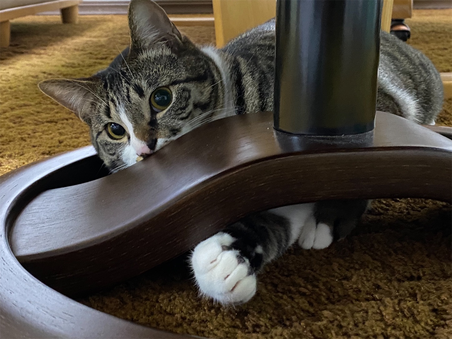 f:id:opachosalon:20220621165735j:image