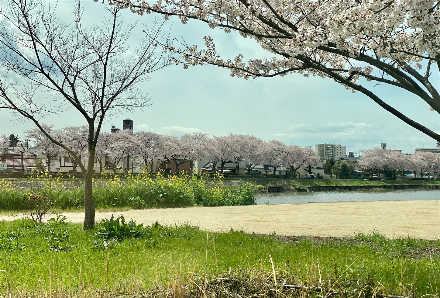 f:id:opachosalon:20221029040804j:image