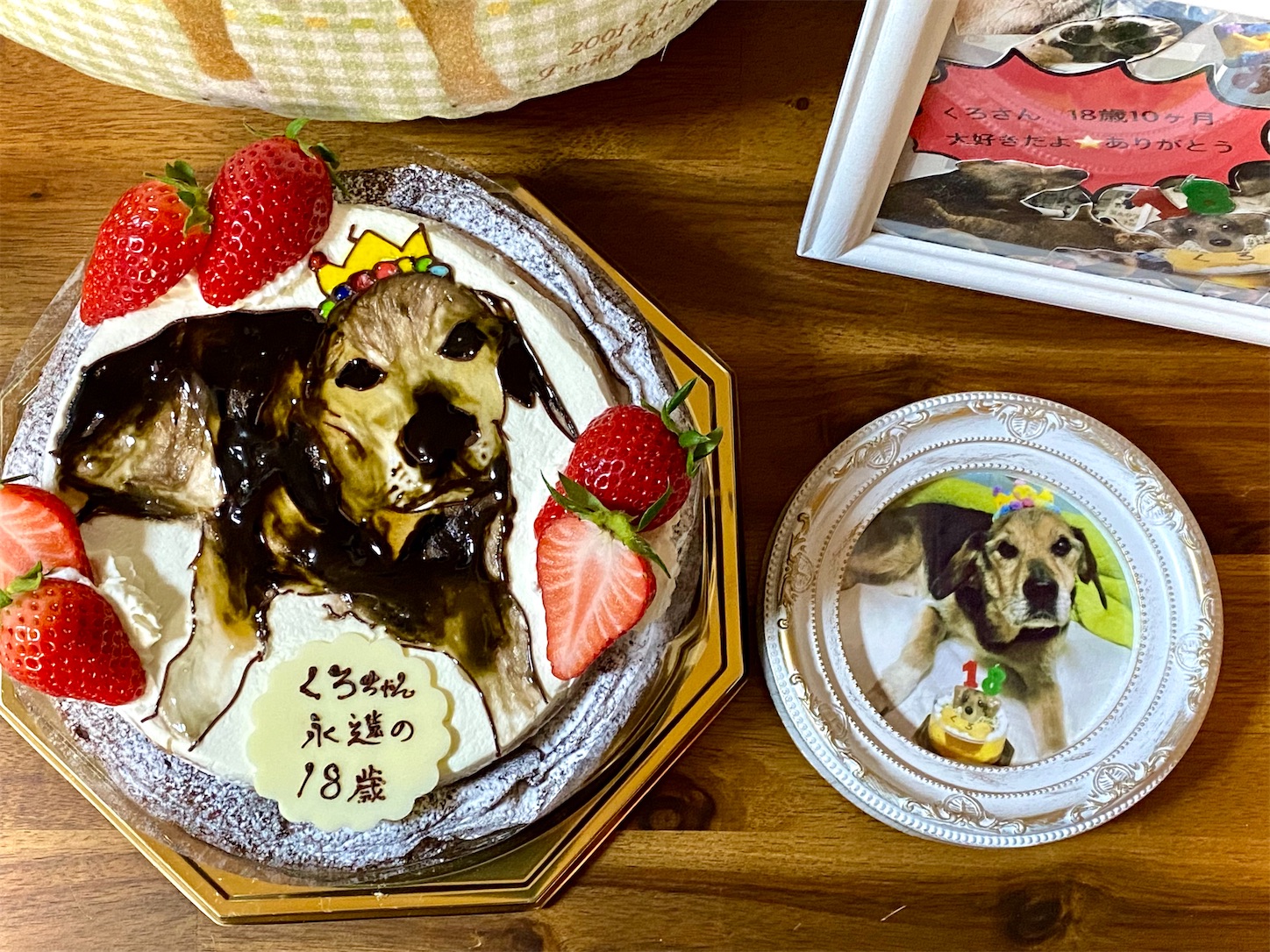 f:id:opachosalon:20221029041232j:image