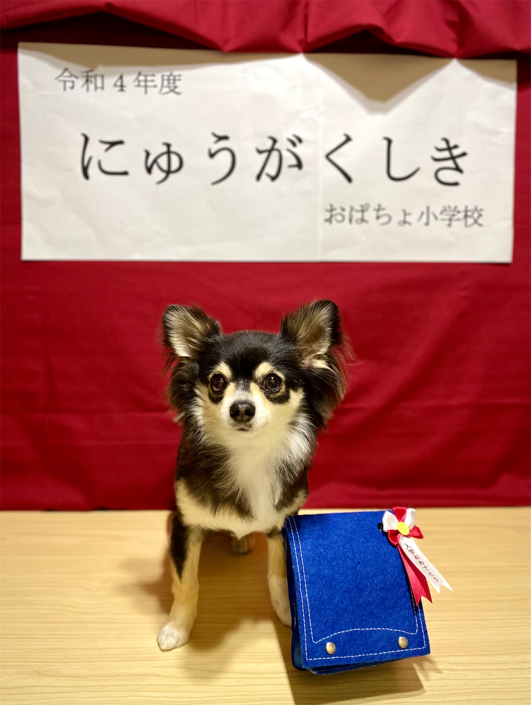 f:id:opachosalon:20221102145517j:image