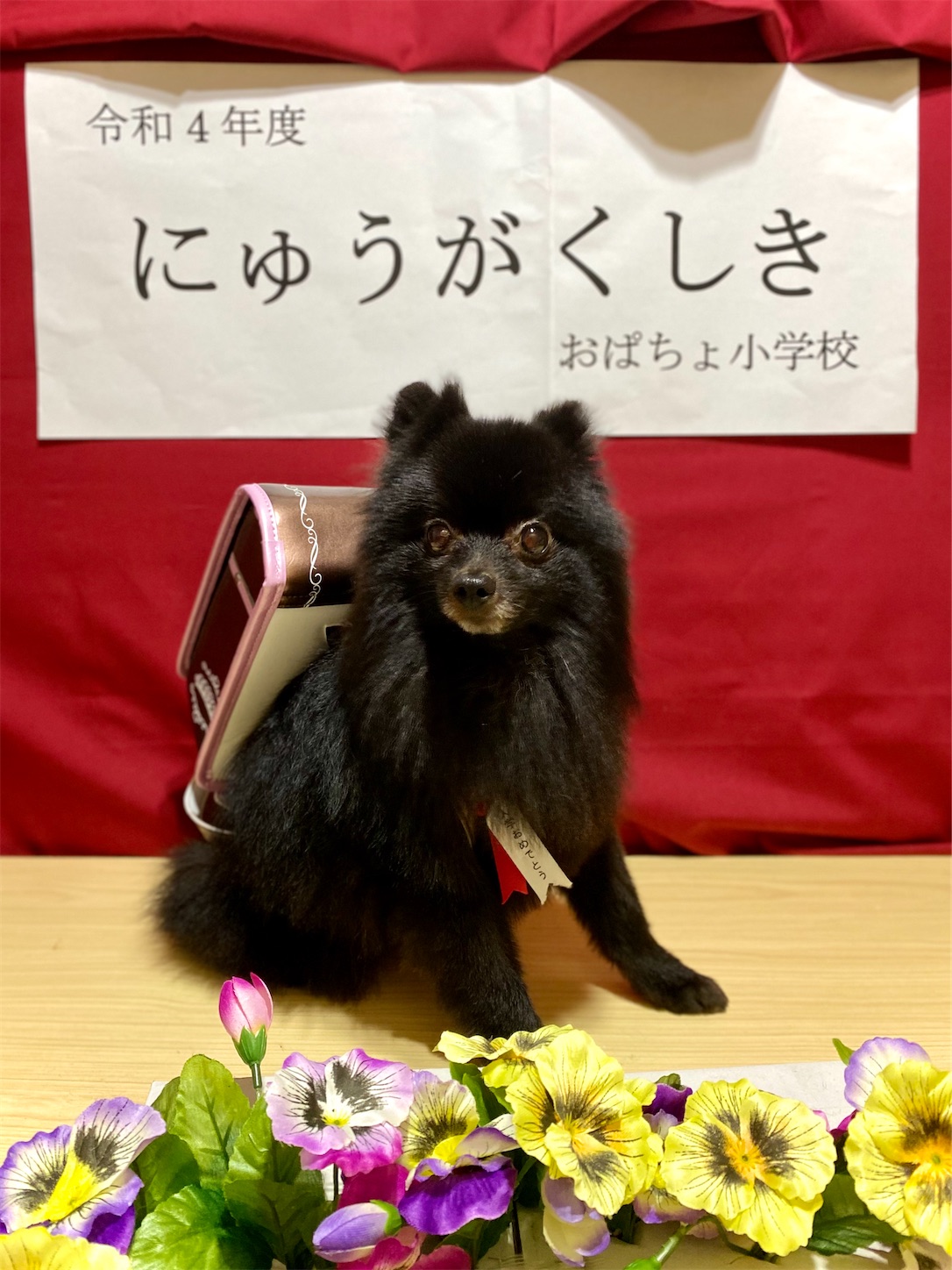 f:id:opachosalon:20221102160843j:image f:id:opachosalon:20221102160843j:image
