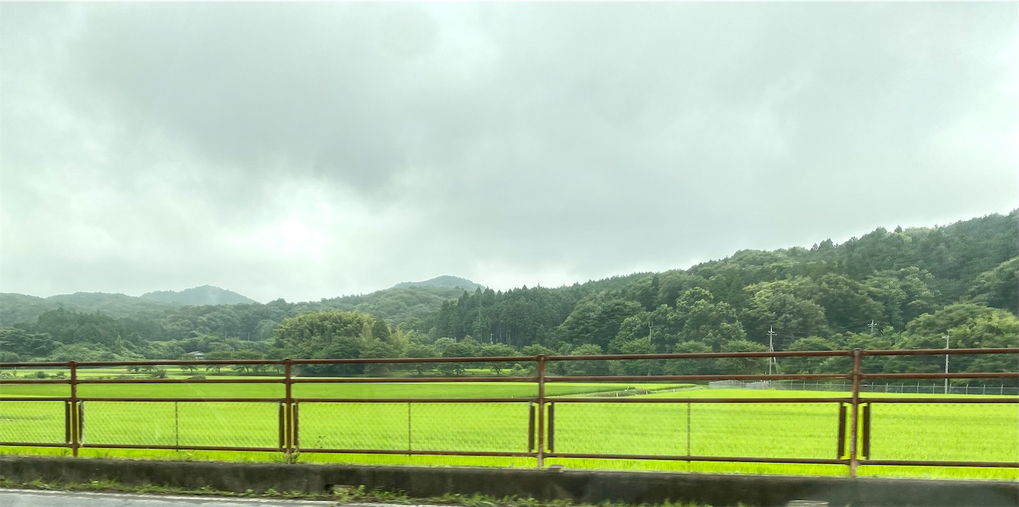 f:id:opachosalon:20221103180018j:image