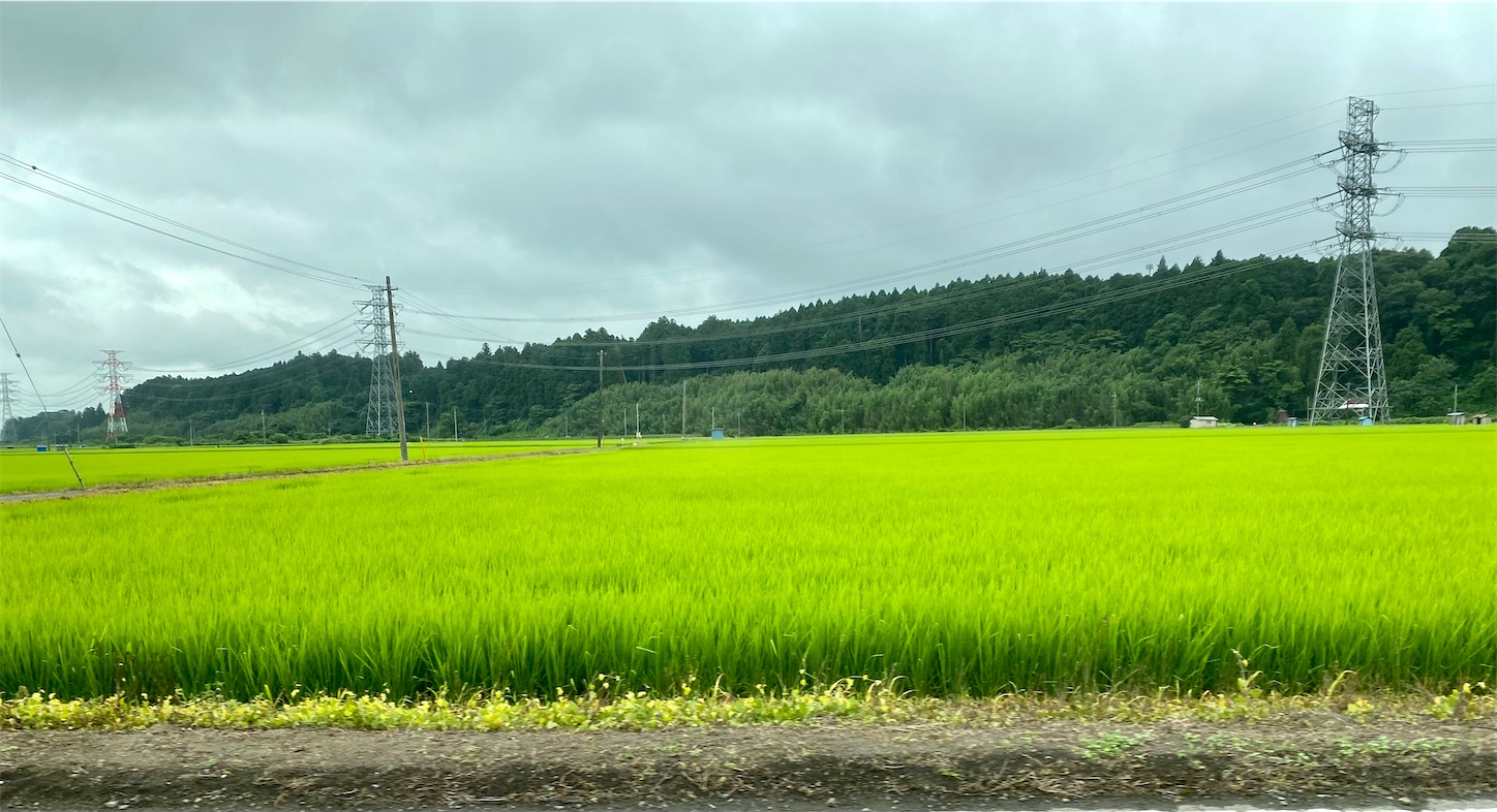 f:id:opachosalon:20221103180031j:image